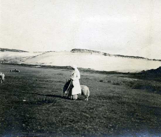 Morsum Kliff 1914